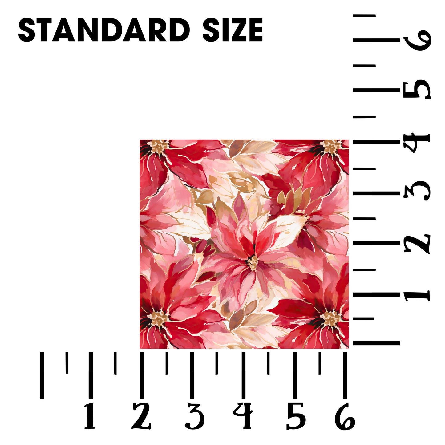 Poinsettia 2